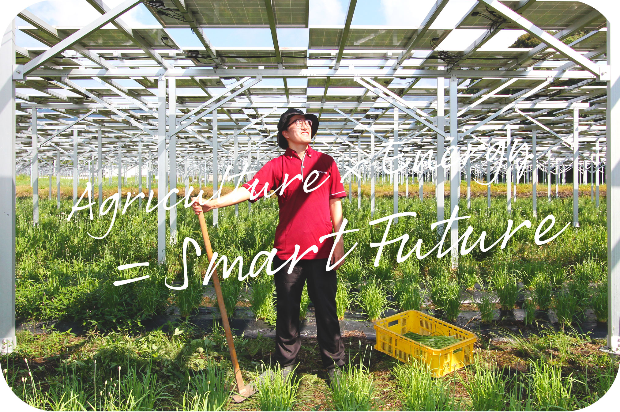 Agriculture × Energy = Smart Future
