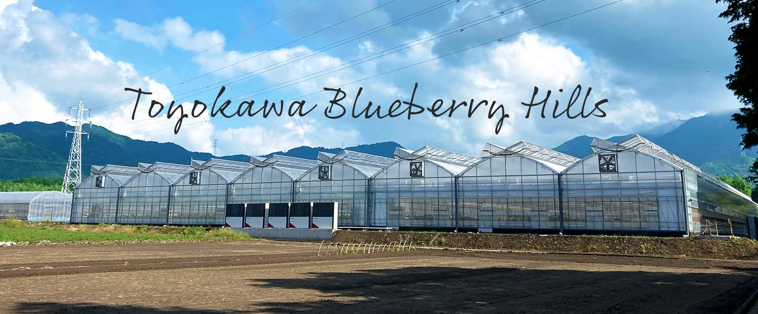 Toyokawa Blueberry Hills